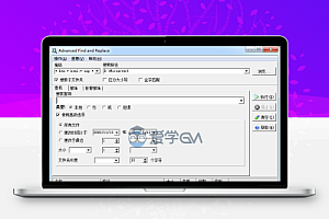 文本查找和替换AFR